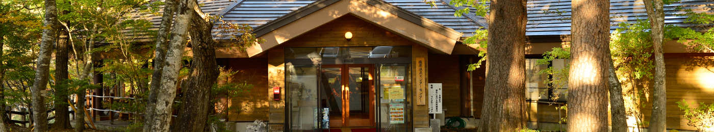 宿泊