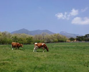 那須高原南ヶ丘牧場