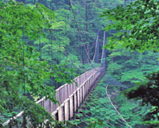 回顧の吊橋