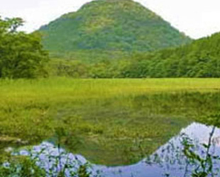 大沼園地